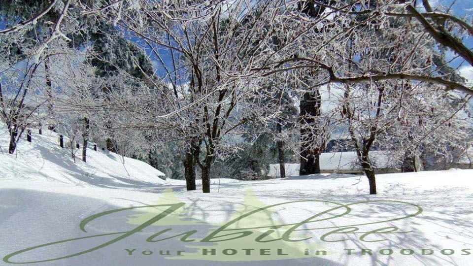 Jubilee Hotel Troodos Extérieur photo