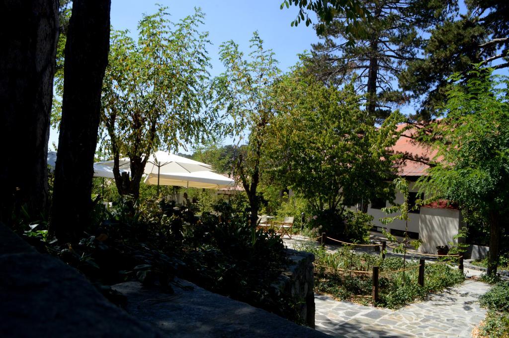 Jubilee Hotel Troodos Extérieur photo